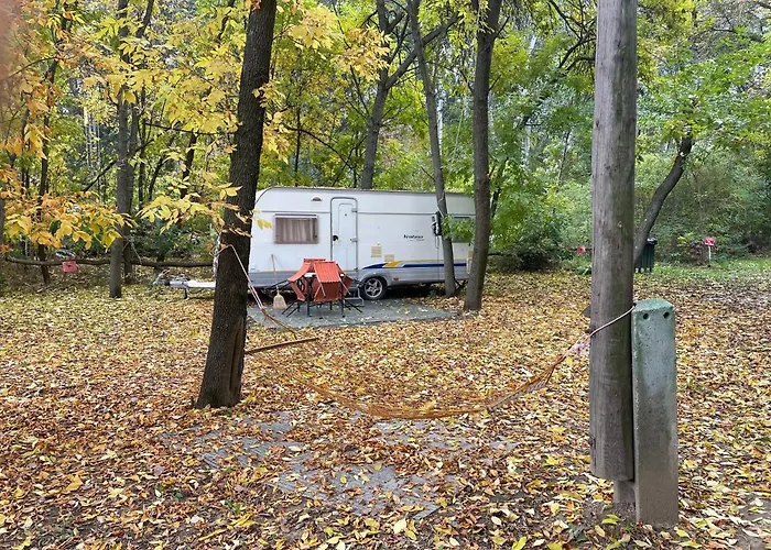 Tisza-beach Wild Camping4